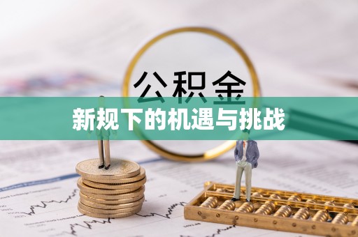 诸城新规下的机遇与挑战
