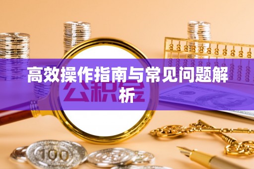 诸城高效操作指南与常见问题解析