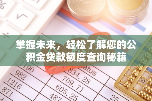 诸城掌握未来，轻松了解您的公积金贷款额度查询秘籍