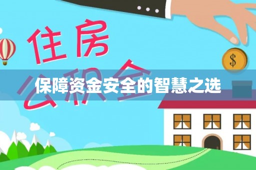 诸城保障资金安全的智慧之选
