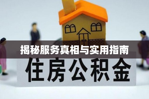 诸城揭秘服务真相与实用指南