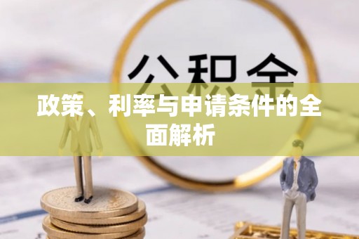 诸城政策、利率与申请条件的全面解析
