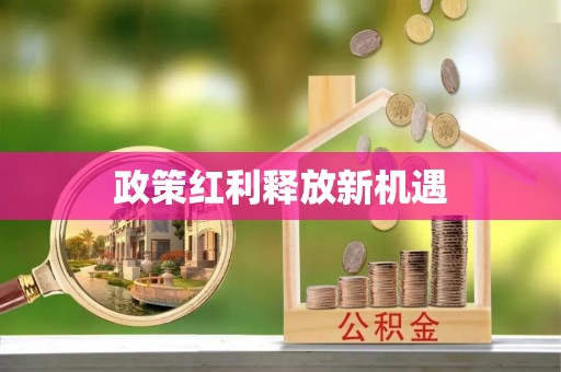 诸城政策红利释放新机遇