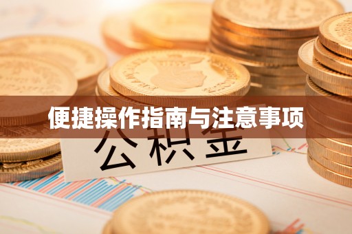 诸城便捷操作指南与注意事项