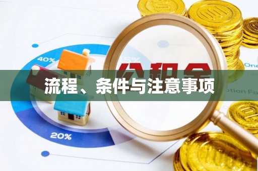 诸城流程、条件与注意事项